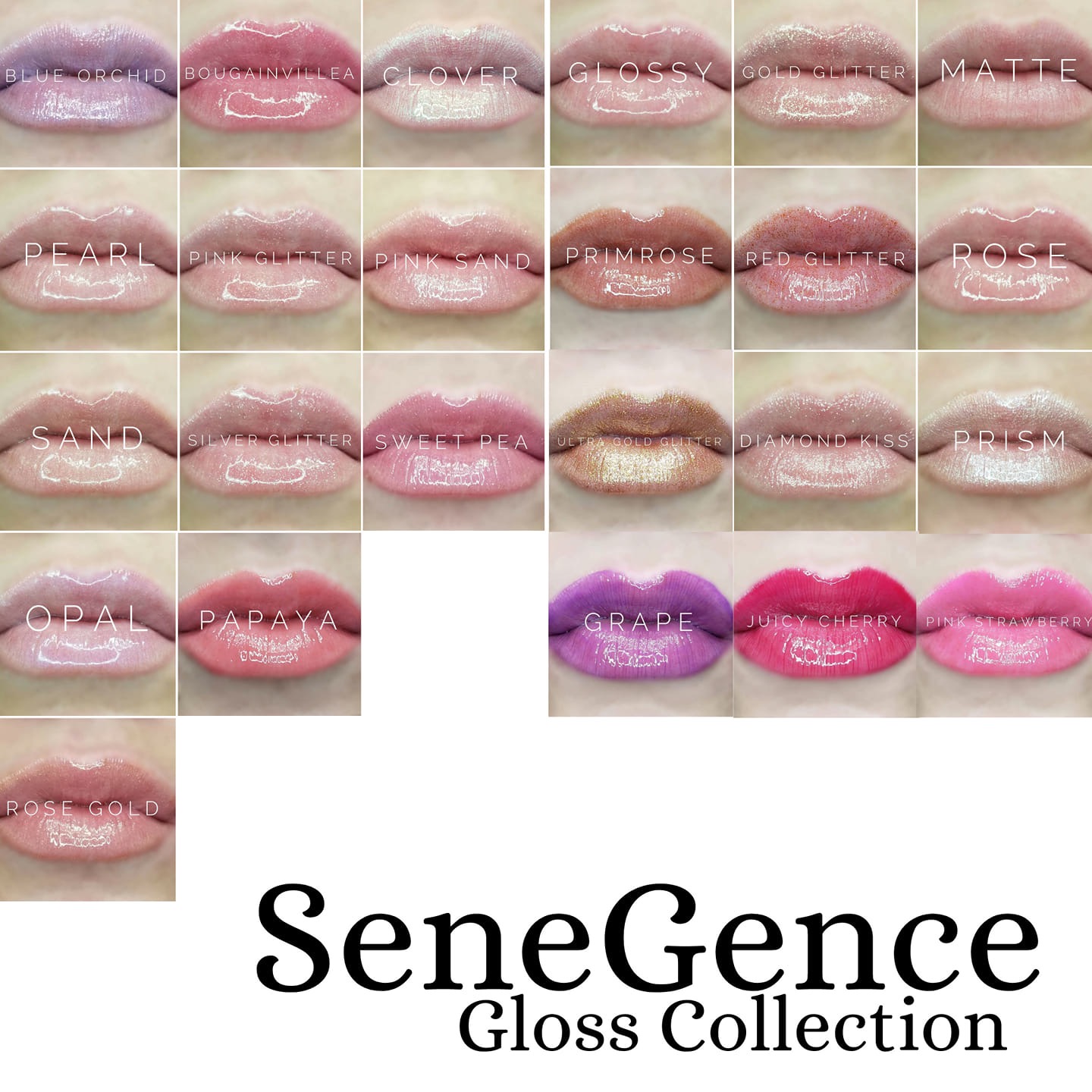 LipSense Gloss Collection